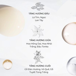 [Bill Macy] Serum dưỡng tóc Ke ras ta se Nutritive 8H Magic Night 30ml