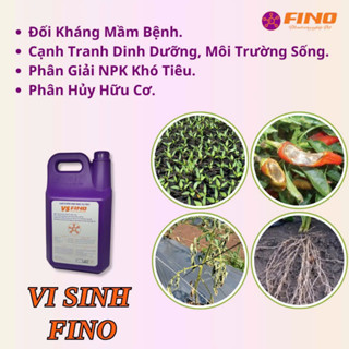  CAN VI SINH FINO 5 LÍT -  Phân Bón Vi Sinh Phun Lá và Tưới Gốc Ngừa Héo Xanh Tuyến Trùng Rễ 