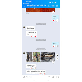 Lưỡi Câu  Cá Lóc Cao Cấp _ Mẫu Số 7