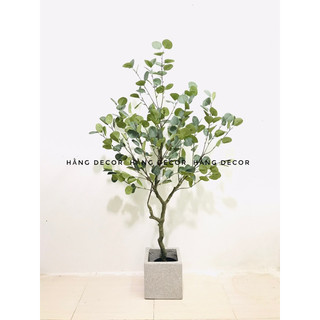 Cây bạch đàn 130cm - cây giả decor