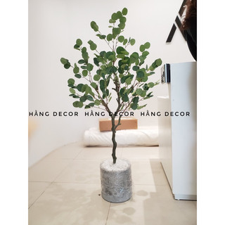 Cây bạch đàn 130cm - cây giả decor