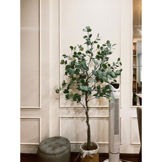 Cây bạch đàn 130cm - cây giả decor