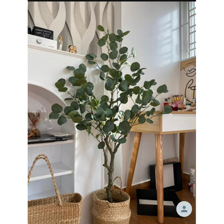Cây bạch đàn 130cm - cây giả decor
