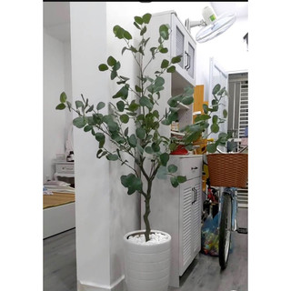 Cây bạch đàn 130cm - cây giả decor