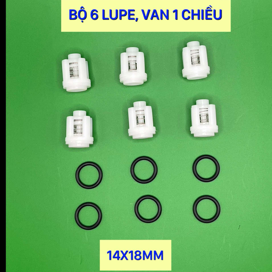 Bộ  6 lupe,van 1 chiều dùng cho máy rửa xe gia đình. Boss 3000W.Dekton 3001,2950,2800