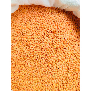 1kg Đậu lăng đỏ hữu cơ Canada
