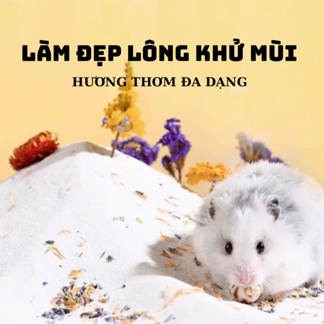 CÁT TẮM HAMSTER SIÊU THƠM