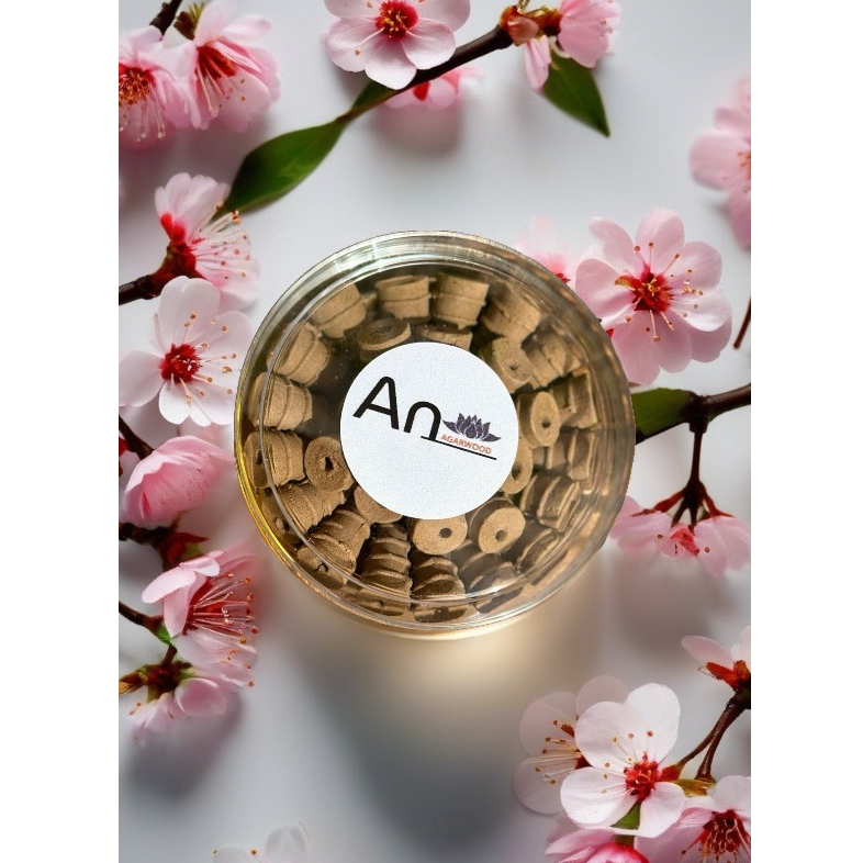 Trầm hương An Agarwood - Trầm nụ xông nhà