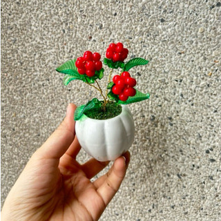 Chậu hoa đào đông hạt đỏ