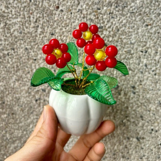 Chậu hoa đào đông hạt đỏ