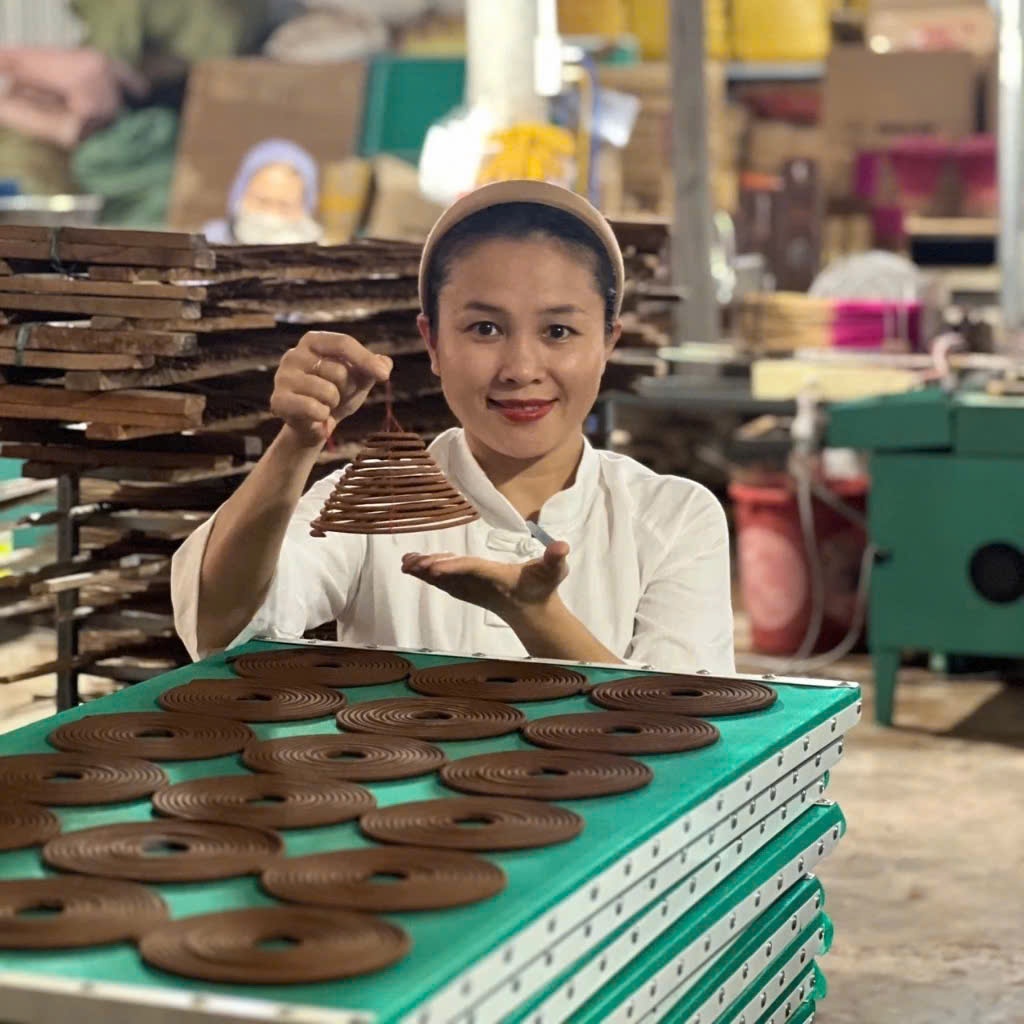 Nhang Vòng Quế Nguyên Chất Tự Nhiên - Nhang Quế Vạn Thành Quảng Ngãi - Nhang Quế Sạch Vạn Thành