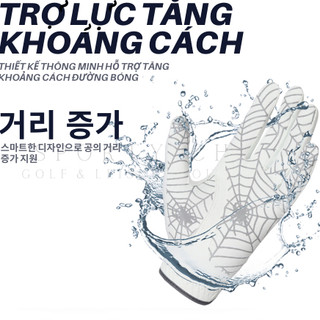 한국 히트상품 수입_쫀쫀한 그립_골프장갑_Spider web golf glove_Korea_GĂNG TAY GOLF TRỢ LỰC NAM NỮ NHẬP KHẨU HÀN QUỐC