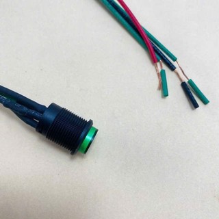 Công Tắc Đèn Báo Máy Lọc Nước RO (Loại 4 Dây)