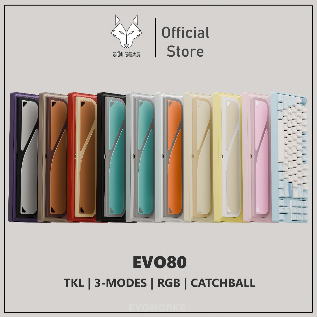 [HỎA TỐC HN - HCM] Bàn phím cơ TKL EVO80 | TKL | Catchball | Hotswap RGB | Kết nối 3 modes