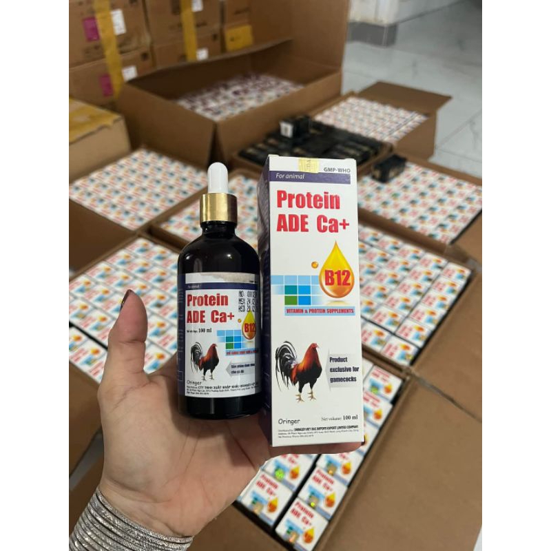 Protein ADE ca+  chiết suất nhâm sâm - tăng bo, nở cơ, sung hừng, tăng nước máu kích thích ăn