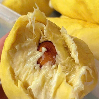 sầu riêng cấp đông