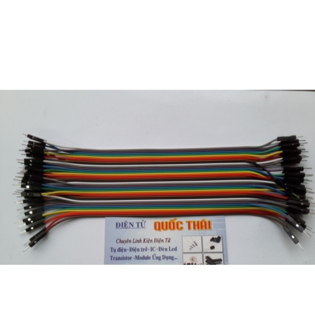 Dây cắm testboard 2 đầu đực đực (20cm)
