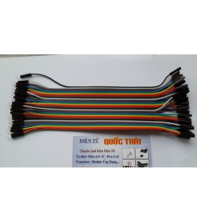 Dây cắm test board 2 đầu đực cái (20cm)