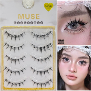 Lông Mi Giả Gân Trong, Mi Gân Trong MUSE Cao Cấp MUSE