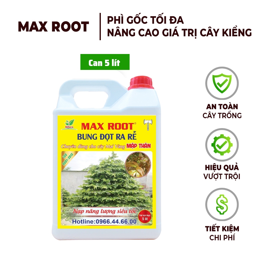 Phân Bón Max Root - Bung Đọt Ra Rễ Mai Vàng Can 5L