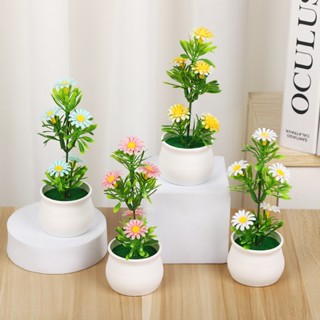 Chậu cây hoa cúc giả mini 15cm hoa cúc họa mi nhựa trang trí kệ phòng học decor văn phòng