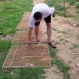 [ SIÊU KHUYẾN MÃI ] Mẹt Vuông Lồng Bẫy Chim , Gà , Bìm Bịp , Cò Quốc , Cút Rừng