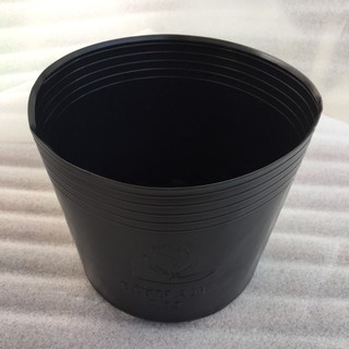 Chậu nhựa đen C11 nhỏ (100 cái)