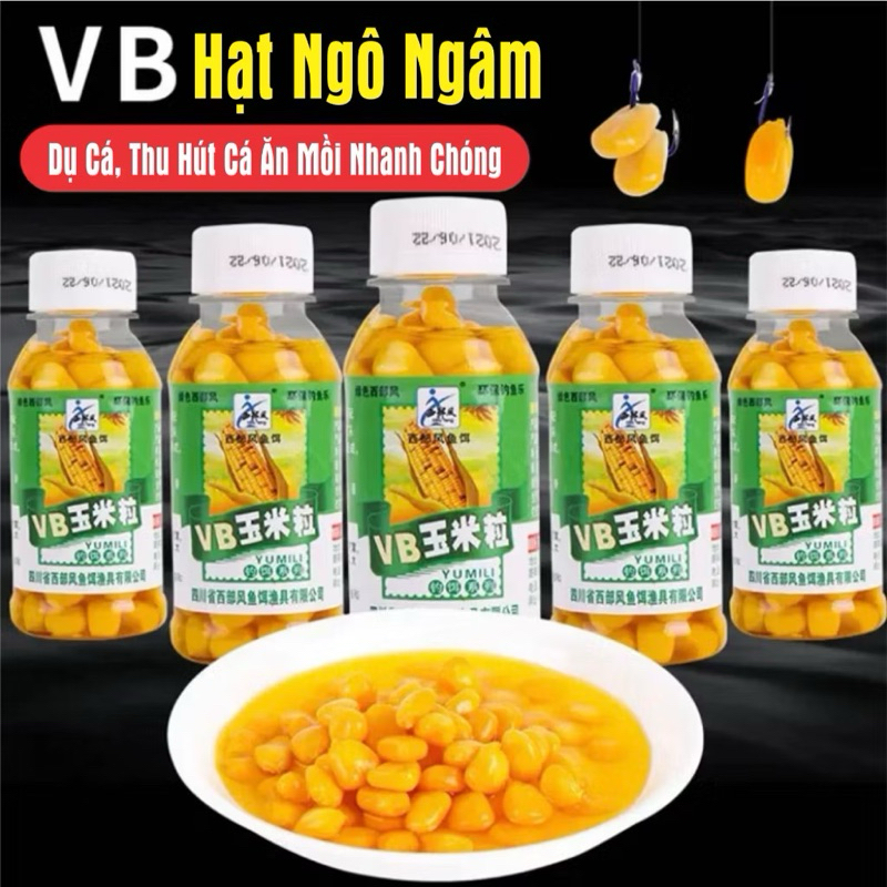 [Chất Lượng] Hạt Ngô Ngâm Móc Lưỡi Câu Cá, Ngô Ngâm Sẵn Câu Cá, Ngô Ngâm Câu Chép, Trắm Cỏ