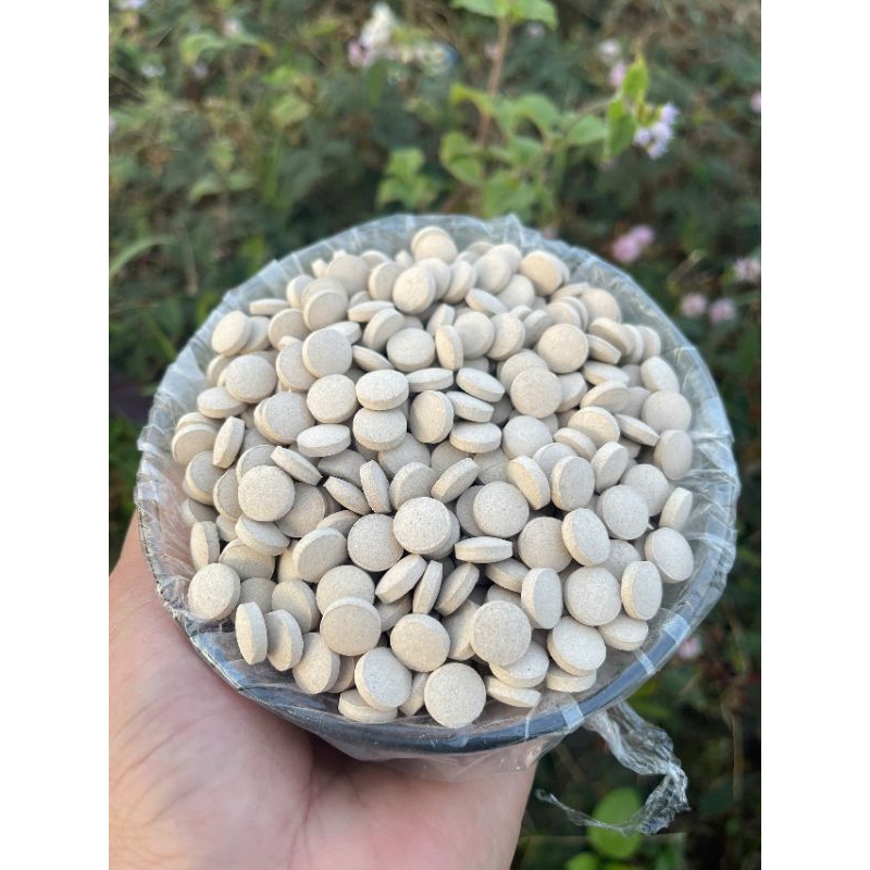 Viên Vi Sinh (EM) dạng nén - Vi Sinh Làm Trong Nươc Khử Mùi Hôi Tanh Hồ Cá, Bể Cá Cảnh