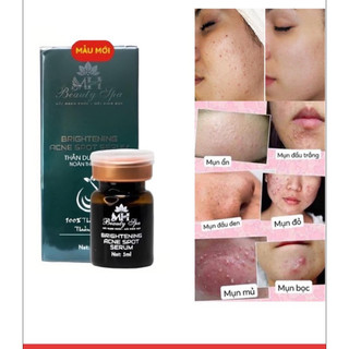  Noãn thực vật mới 