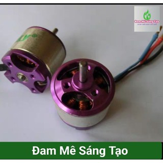 Động cơ  brushless không chổi than Trục 2.3 Dài 11mm XXD A 2010 - 3900kv