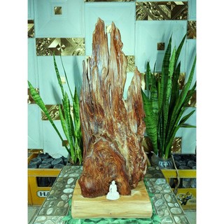 lũa ngọc am đỏ hà giang