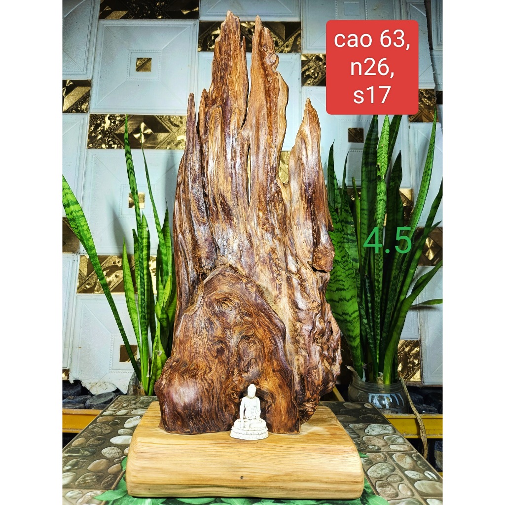 lũa ngọc am đỏ hà giang