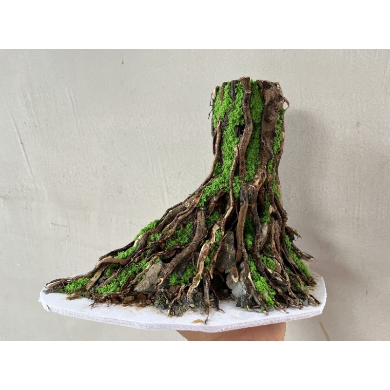 layout nhất trụ bể thủy sinh 30.20.20cm