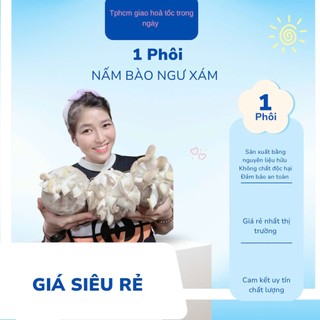 Phôi nấm bào ngư xám có nắp (1 PHÔI)