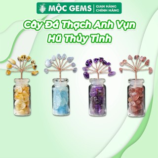 Cây Đá Vụn Thạch Anh Hũ Thuỷ Tinh Mini Mộc Gems Giúp Tăng Năng Lượng Tốt, Cải Thiện Phong Thủy