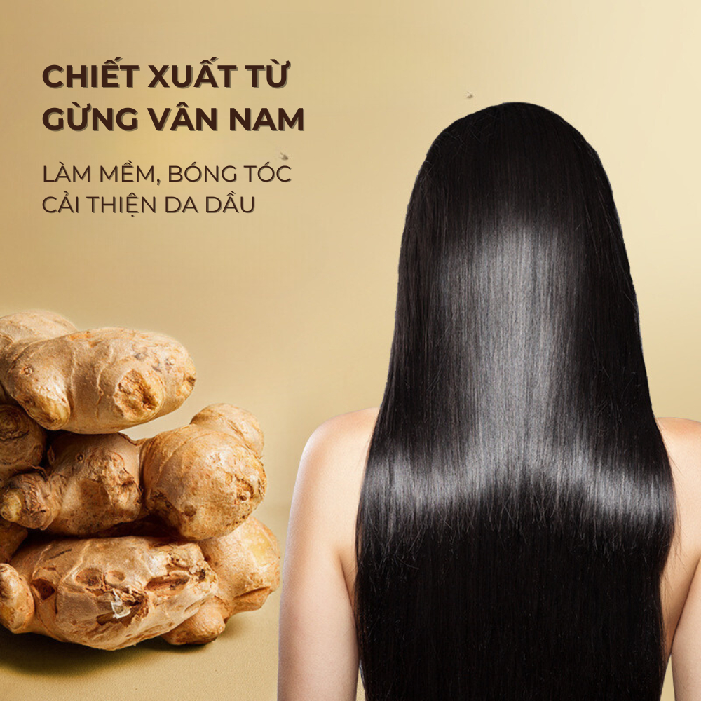 Dầu Gội Dầu Xả Gừng Giảm Rụng Tóc CUZIN Kiểm Soát Dầu Nhờn Giảm Gàu Kích Thích Mọc Tóc BXK COSMETICS