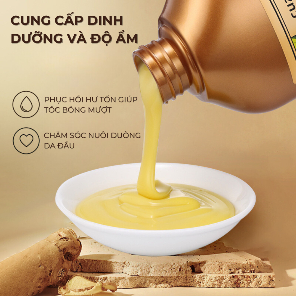 Dầu Gội Dầu Xả Gừng Giảm Rụng Tóc CUZIN Kiểm Soát Dầu Nhờn Giảm Gàu Kích Thích Mọc Tóc BXK COSMETICS