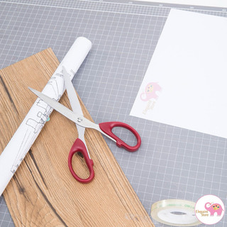 Kéo cắt giấy Deli 6009/6010