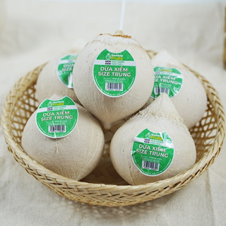 [Hỏa Tốc HCM] Combo 10 Trái Dừa Xiêm Tươi Ngon Ngọt Nước (Đầu Nhọn) - FoodMap Fruits