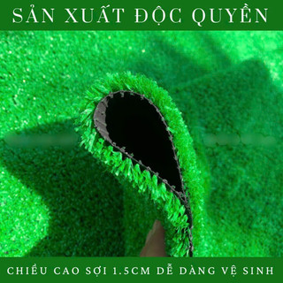 Thảm Cỏ Nhân Tạo 1.5cm ngoài trời