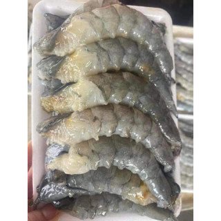 Tôm thẻ nõn tươi size to đại