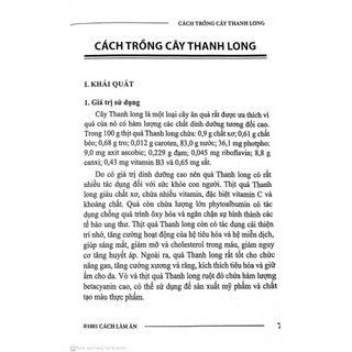 Sách - Cách Trồng Cây Thanh Long – Bí Quyết Nông Nghiệp Thành Công