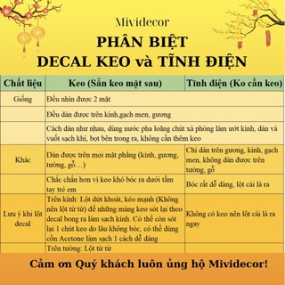 Decal Tết 2025 dán kính Tết ẤT TỴ đủ chi tiết như hình