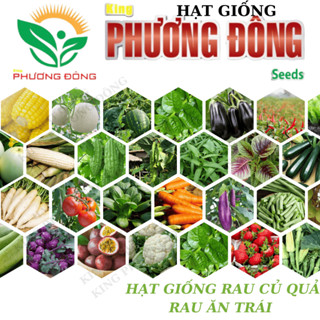 Hạt giống Rau Củ Quả trồng quanh năm, nảy mầm tốt, nhanh thu hoạch - Hạt giống King Phương Đông