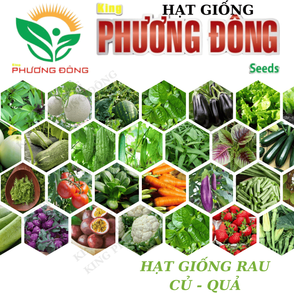Hạt giống Rau Củ Quả trồng chậu, rau ăn lá,dây leo trồng quanh năm,nảy mầm tốt - Hạt giống King Phương Đông