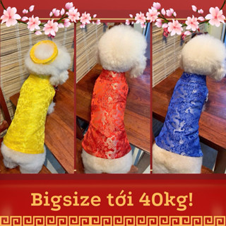 [Size tới 40kg] Áo dài gấm rồng siêu dễ thương cho chó mèo