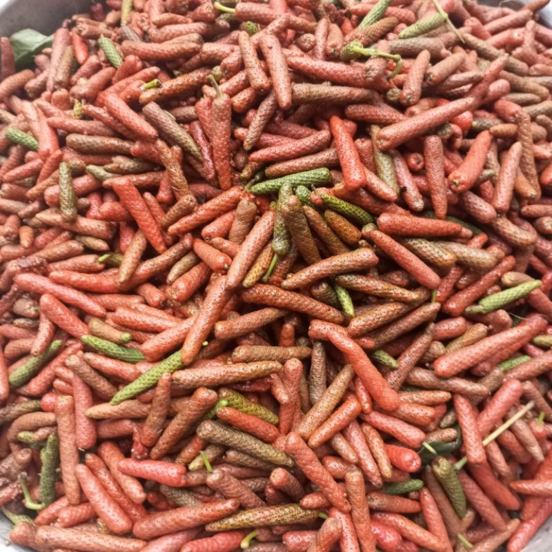 0,5 kg tiêu lốp tươi