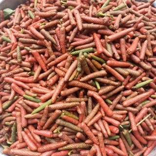 0,5 kg tiêu lốp tươi