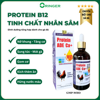 Protein b12 nhân sâm 100ml giúp tăng bo, nở khung, lên nước máu, sung túc, mát gà
